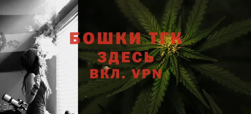 Каннабис SATIVA & INDICA  Можайск 